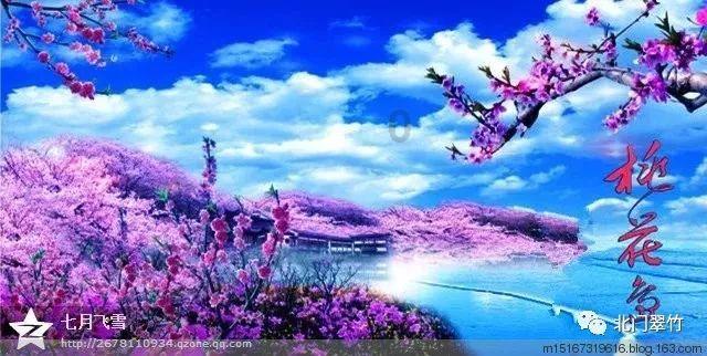 深度交流,尽在【木耳海参汤的做法?】